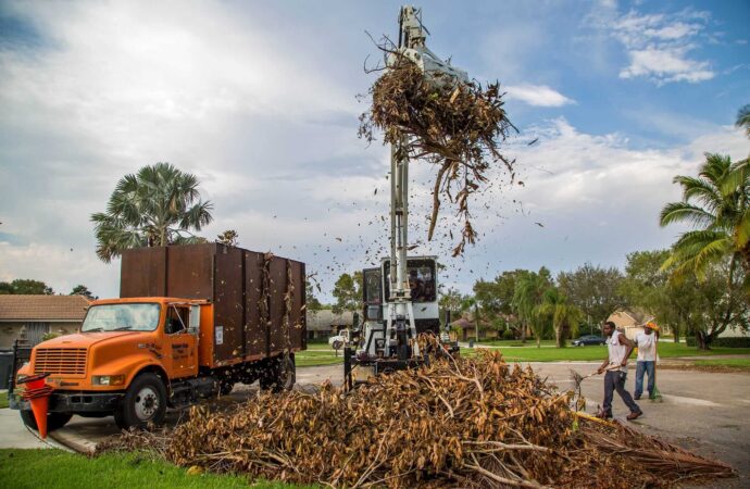 Juno Beach-Palm Beach County Junk and Waste Removal