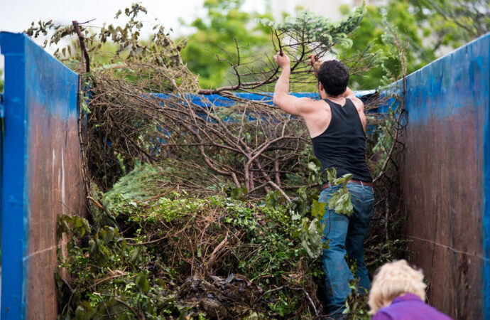 Tree Removal Dumpster Services, Palm Beach County Junk and Waste Removal